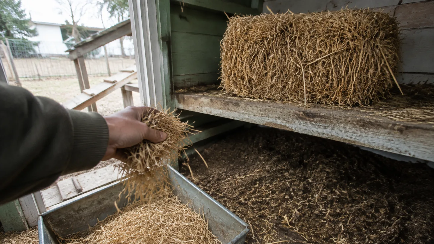 A dry straw bale sits beside a managed coop tray, showing the storage and upkeep needed for this bedding.