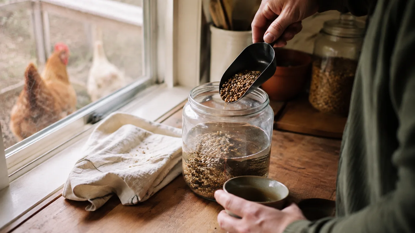 A small jar of grain sits submerged in water beside a scoop, showing a simple home setup.