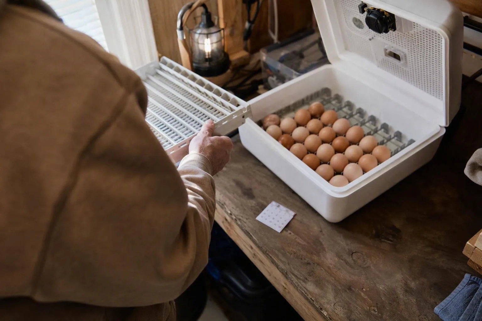 A hand removes the egg-turning rack while eggs rest still in the incubator for the final days.